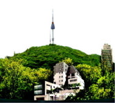 [도심속 전원주택 분양] 남산 위 별장 `포레스트 하우스`
