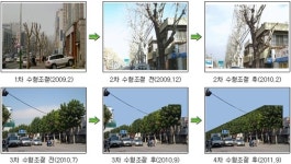 서울시내 가로수가 새옷을 입다