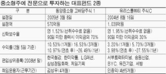 [펀드 톺아보기] 중소형주 펀드   
