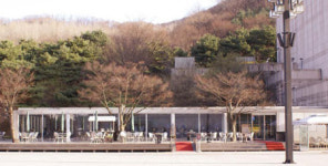 봄에 취해 예술의 동산을 노닐다