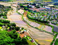 용인, 경기도서 가장 살기 좋네