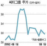 씨티 100억弗 자본확충해야