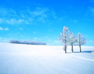 홋카이도서 만나는 순백의 세상