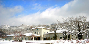 눈 오는 날 노천탕에서 이야기꽃 피우는 웰빙여행