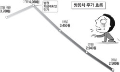 속타는 쌍용차 투자자