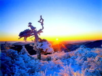 [국내여행] 태백산, 눈꽃 위로 일출 장관