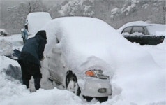주차 때 車 와이퍼 곧추 세우세요