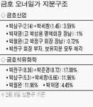 금호 오너일가 집 빼고 주식등 전재산 담보로 맡겨