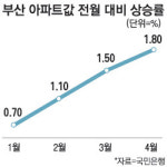 부산 부동산 훈풍 경매시장도 후끈