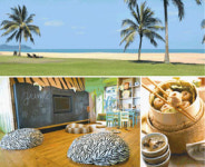 대자연이 살아 숨쉬는 열대우림 속 `야생 정글짐`