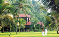 대자연이 살아 숨쉬는 열대우림 속 `야생 정글짐`