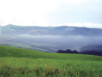 [Cover Story] 色에 설레고 香에 취한다…야생화 기행