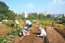 취미로 시작한 텃밭가꾸기 이젠 직업됐죠