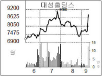 [종목 포커스] 대성홀딩스, 자회사 상장 기대로 급등