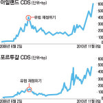 아일랜드 재정위기 재발, 美 2위 채권업체 파산보호