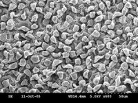 [재미있는 과학] 신기한 나노 세상 보여주는 첨단 현미경