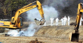 [포토] 파주까지 구제역 확산