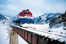 [Travel & Life] 강원 태백 vs 홋카이도 韓日 눈꽃열차