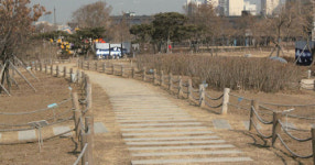[직장인 맛집] 롯데칠성 직원들이 잘 가는 신사역 맛집 5