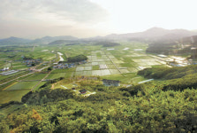 [국내여행] 지리산 둘레길 2코스…자연을 벗 삼아 산책하듯 걸어볼까