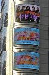 카라 팬, 4주년 축하 옥외광고 내걸어…“카라 5=1”