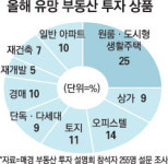 아파트 지고 도시형생활주택 뜬다