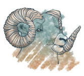 [마법의 키워드 주간 별자리] 4월 19일 ~ 4월 25일