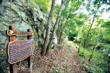 [국내여행] 전북 무주, 신록이 물든 `금강 벼룻길` 어때요