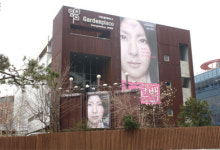 [핫플레이스] 새문안로 경희궁길