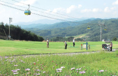 현대성우리조트, 퍼블릭 패키지