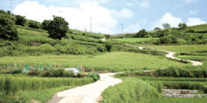 [한국의 해안마을] 완도 청산도마을