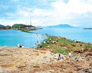 [국내여행] 섬 마을 걸을까…둘레길 따라 걸을까