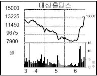 [종목 포커스] 대성홀딩스, 태양열발전소 준공으로 강세