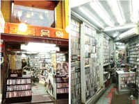 [서울 핫 플레이스] 명동 라이브