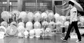 [포토에세이] 다 제때가 있죠