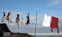 [전시] 사진을 만나러 떠나는 여름휴가