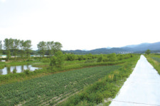 [훌쩍 떠나는 여행] 강릉 바우길