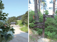 [훌쩍 떠나는 여행] 강릉 바우길