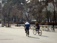 운동의 계절, 가을! 무리하다 병원 신세
