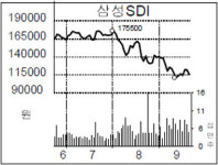 `돈먹는 하마` 태양광 탓에 삼성SDI 쇼크후 40% 뚝