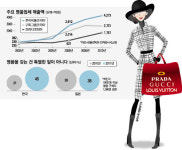 [NIE] 사람들은 비싼 명품 왜 소비할까