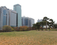 [서울 핫플레이스] 다이내믹 아일랜드, 여의도