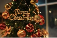 크리스마스에는 설악파크호텔 패키지와 함께 하세요