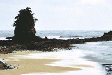 [꼭 걷고 싶은 길(73)] 노을길에서 낙조를 보다