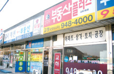 파주·강화 접경지역 부동산 가보니, 땅보러 오겠다던 손님 약속 취소