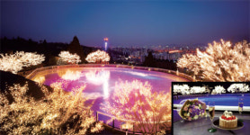 [Hotel] 은반 위의 추억, 그랜드 하얏트 서울