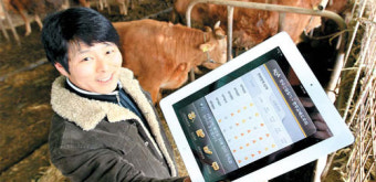 암소 100마리 수정 최적기  태블릿 PC로 실시간 관리