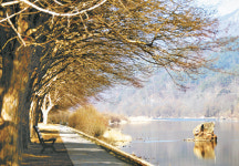 [주말여행] 꼭 걷고 싶은 길, 강변 따라 걷는 길