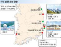 국민신뢰·안전성…한국형原電 세계로 뛴다