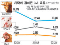 소·돼지·닭고기 가격 모두 내렸다